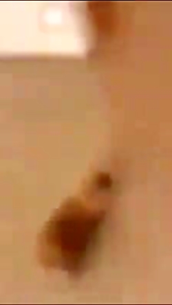 پایگاه عین الاسد در آتش انتقام...