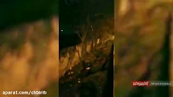 سقوط هواپیمای اوکراینی (آخرین...