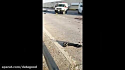 محل شهادت سردار سلیمانی