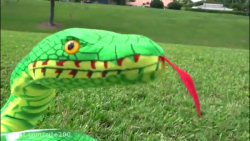 بازی دیانا و روما... مبارزه دی...