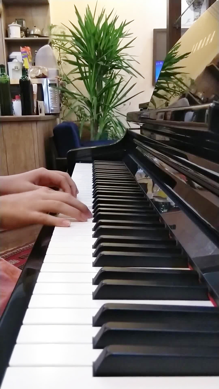 معجزه موسیقی