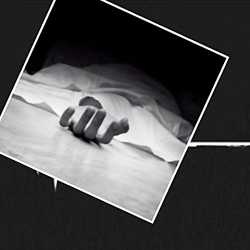 تسلیت به ایرانم، علیرضا طبایی،...