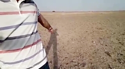 سلفی خنده دار در بیابان های کا...