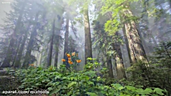 ویدویی فوق العاده آرام بخش و ب...