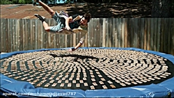 چی میشه اگر روی 1000 تا تله مو...