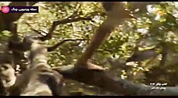 موسیقی فیلم - کتاب جنگل  ۲۰۱۶