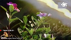 تصنیف قدیمی " ای مه من &q...
