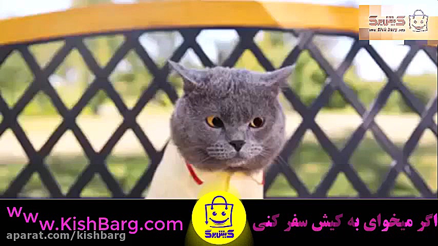 پوستر بزرگ