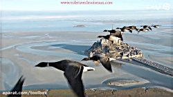 انسان تونست مثل پرندگان پرواز...