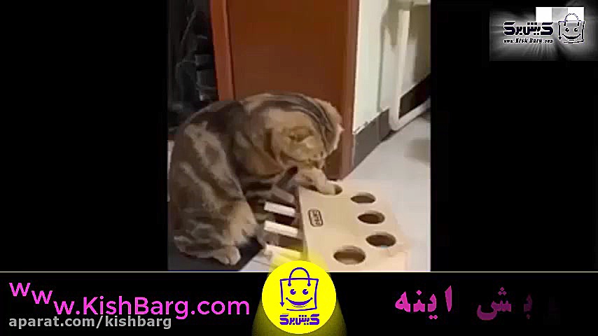 پوستر بزرگ