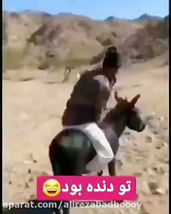 کیلیپ خنده دار _مستر خنده