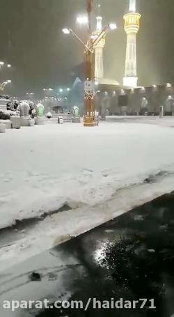 بارش برف در شهر پیامبر (ص) مدی...