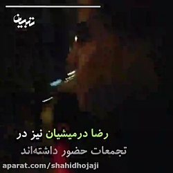 کدام یک از سلبریتیها با سفیر ج...