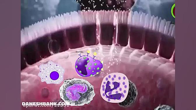 دستگاه ایمنی ذاتی یا غیر اختصاصی جراحی زیبایی پلک