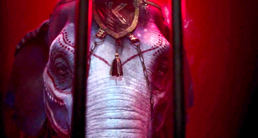 فیلم سینمایی(دامبو)Dumbo 2019دوبله فارسی زمان6716ثانیه