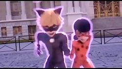 اگه بهت بگن کت نواریالیدی باگ؟...