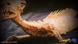 مستند ترسناکترین معماهای حل نش...