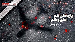 از صفر تا صد حادثه سقوط هواپیم...