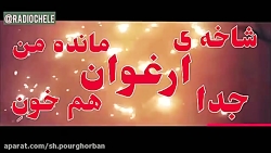 ویدئو کلیپ ارغوان سقوط هواپیما