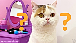 ناستیا-استیسی پرنسس خانم و ملو...