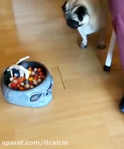 کلیپ خنده دار......ایستگاه خند...