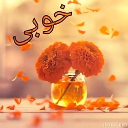 ویدیو آرامش بخش