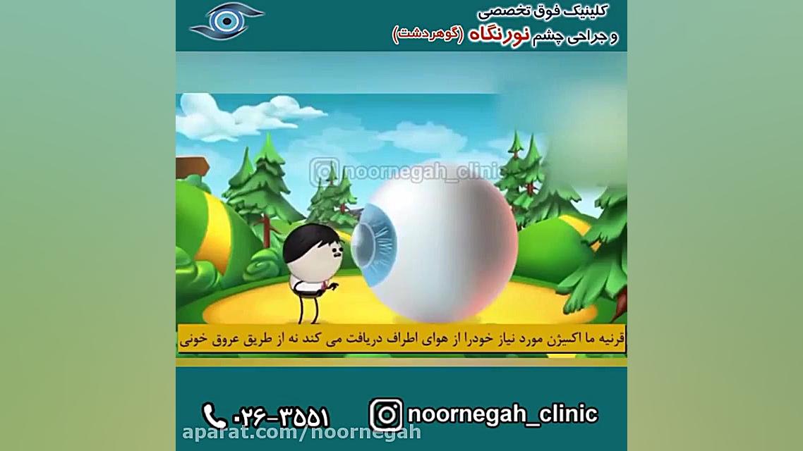 خوابیدن با لنز تماسی با چشم Autophagy Detection Kit