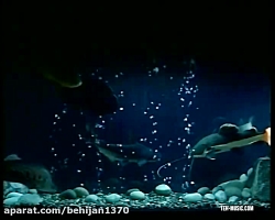 سریال پاورچین  قسمت هفتاد و نه...