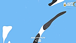 کلیپ درباره خواص ماش چه میدانی...