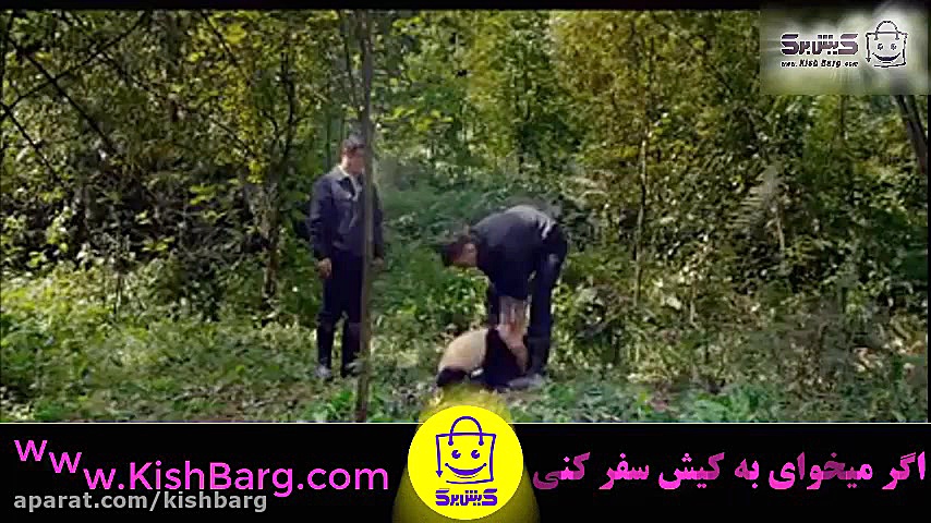 پوستر بزرگ