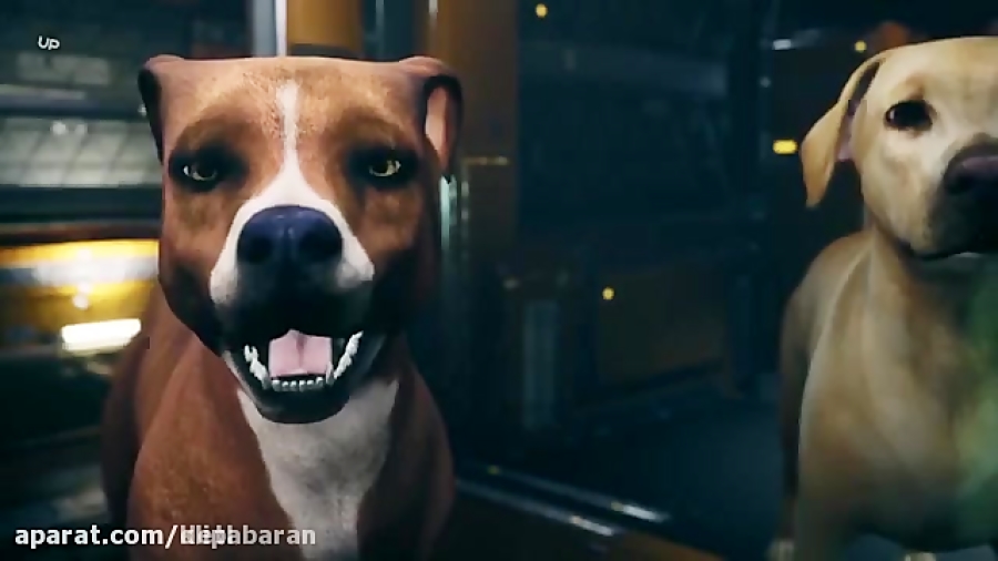 انیمیشن | سگ های انتقام جو Avenger Dogs 2019 | دوبله فارسی | کانال گاد زمان4624ثانیه
