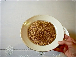 طرز تهیه سمنو به روش سنتی با ج...