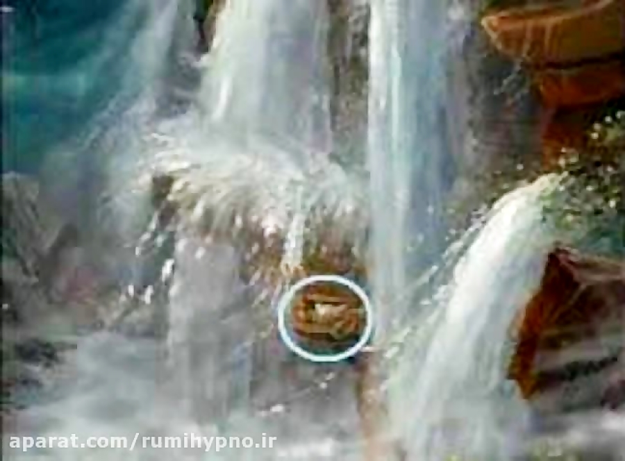 اگر در کشتی نوحی