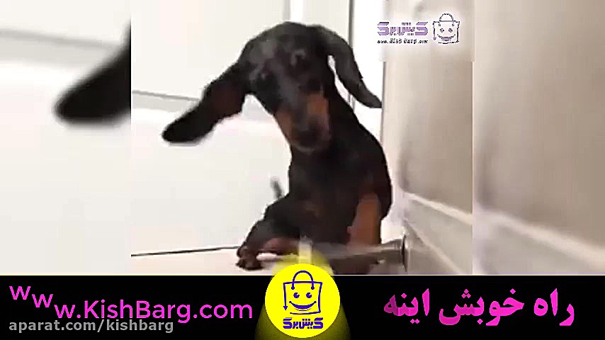 پوستر بزرگ