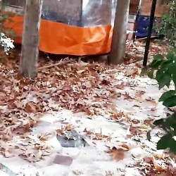 باغ رستوران لواسون