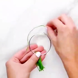 ایده های جالب و دیدنی