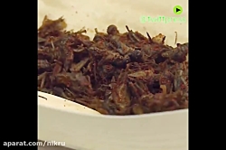 استارتاپ آلمانی INSNACK پروتئی...