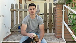 دوربین مخفی خارجی 5 (خیلی خیلی...