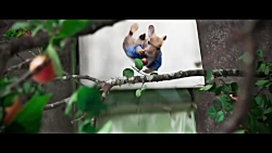 تریلر فیلم سینمایی پیتر خرگوشه...