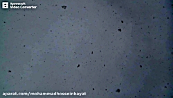 دانه های درشت برف در حال بارید...