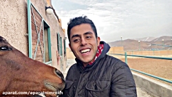 زیباترین موجود زنده