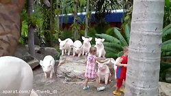 دیانا و روما پرنسس خانم و سفر...