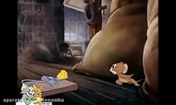 کارتون تام و جری تام و جری