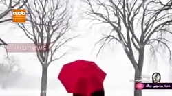 نماهنگ برف آمد با صدای حجت اشر...