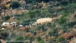 جبل ترکمان شمال لاذقیه هدف قرا...