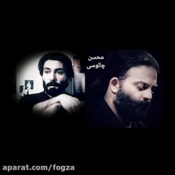 باغ زندگی ، شادمهر عقیلی و علیرضا عصار