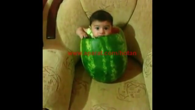 مراقب کرم هندونه شب یلدا باشید:)))))))) زمان15ثانیه