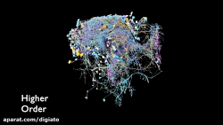 گوگل با کیفیت ترین نقشه سه بعد...