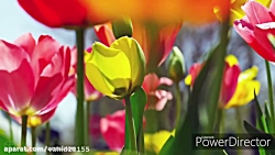 به چشمهای من نگاه کن اثر مهران...