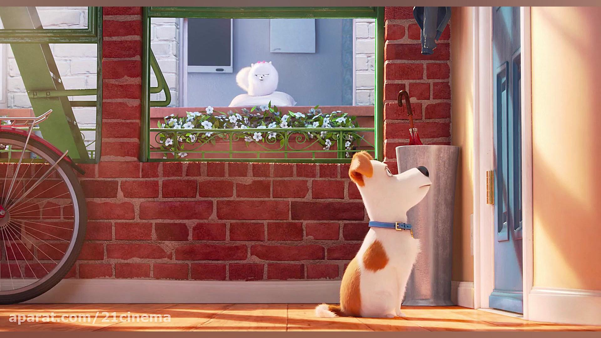 انیمیشن زندگی پنهان حیوانات خانگی The Secret Life Of Pets 1 دوبله فارسی 1080p زمان5187ثانیه